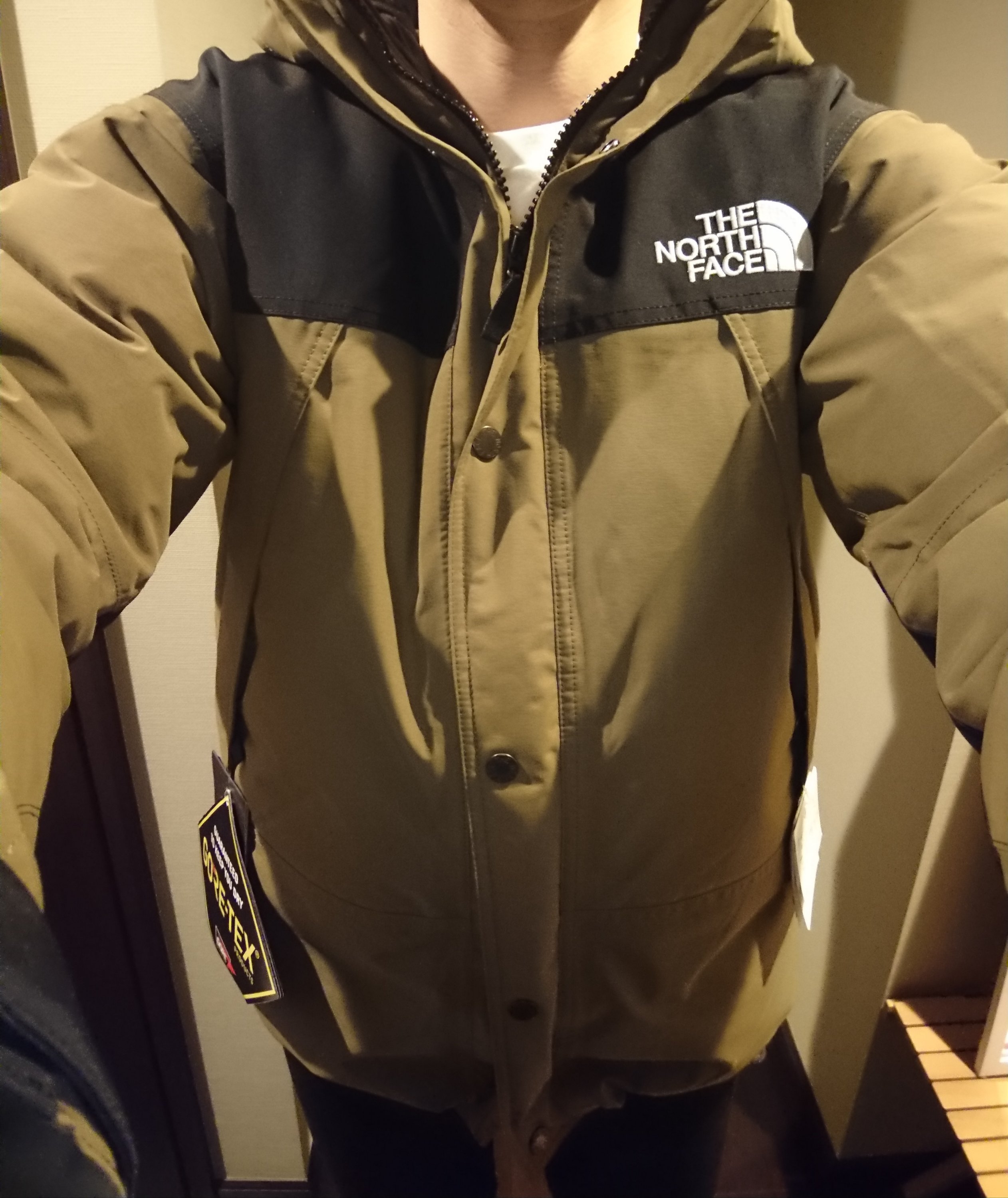 限定色】 THE NORTH FACE マウンテンダウン ビーチグリーン millersace.com